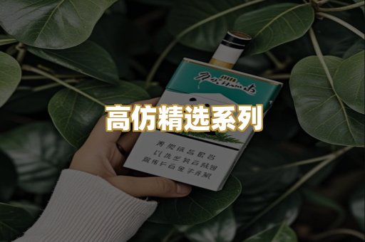 高仿精选系列
